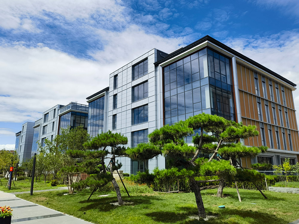 南海绿茵国际
